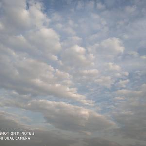 男孩(Live)_麦芽糖（翻自 梁博）