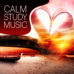 Brain Meditation