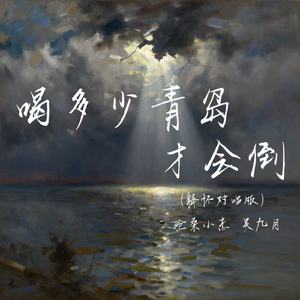 喝多少青岛才会倒（释怀对唱版）