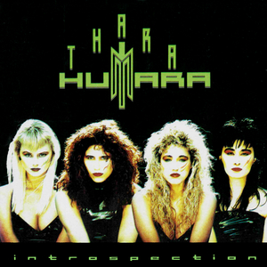 Instrospection (In the House)