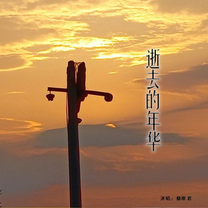 逝去的年华 (伴奏)