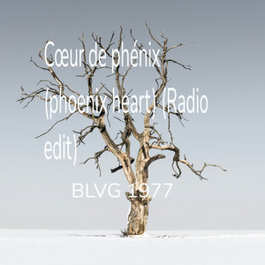 Cœur de phénix (phoenix heart) [Radio edit]