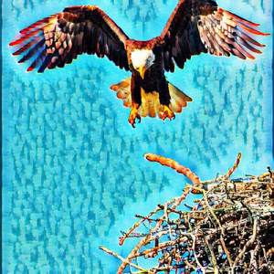 Eagle
