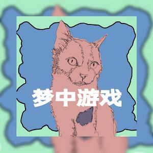 梦中游戏