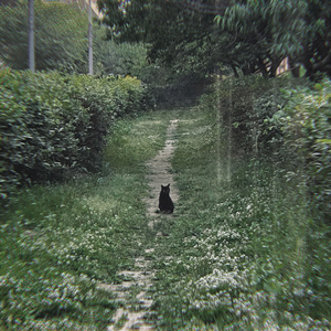 속삭임 (feat. 천은채)