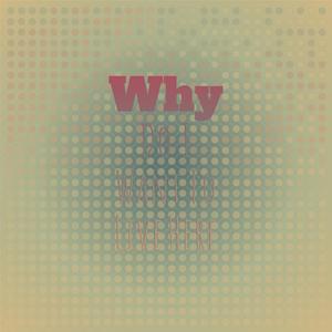 What's remarkable about you’s