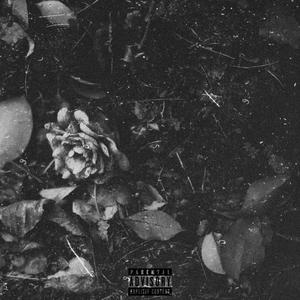 断（Prod by Bubbleboy X Roccky）