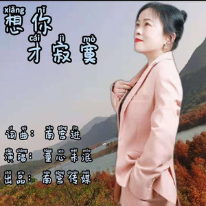 想你才寂寞 (女版伴奏)