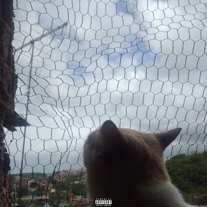 Só Mais um Boombap Qualquer