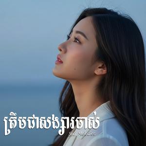 ភ្លេងកំដរចិត្តឈឺចាប់