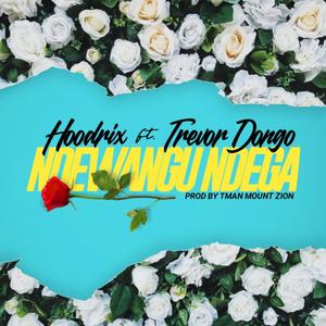 Ndewangu ndega (feat. Trevor Dongo)