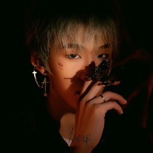 星空海(Starry Sea)