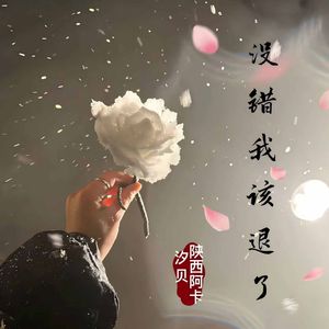 没错我该退了（伴奏）