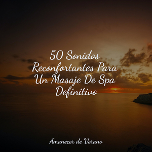 Reflexiones Tranquilas de Zen