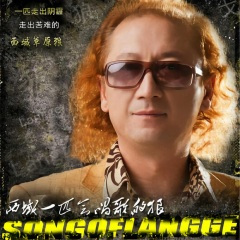 你爱唱的那首歌