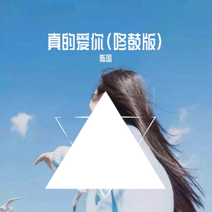 真的爱你(咚鼓版)陈国（翻自 李嘉琪）