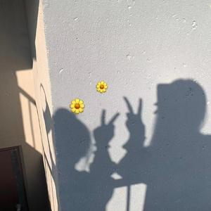 海芋恋new（翻自 刘瑞琦）