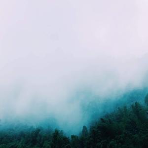 サヨナラの世界。悲しいの世界。