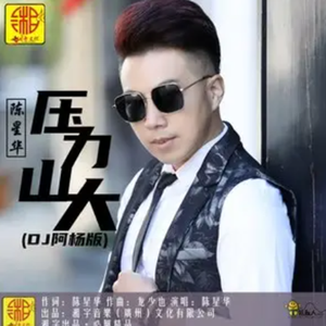 压力山大 (DJ阿杨版)