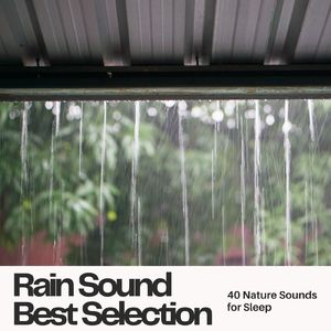 眠りの鼓動～雨の音でぐっすり眠れるα波～