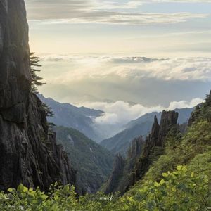 圈养玫瑰（翻唱）