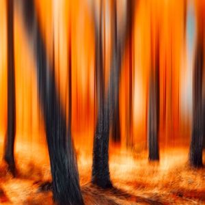 没有人能掌控你