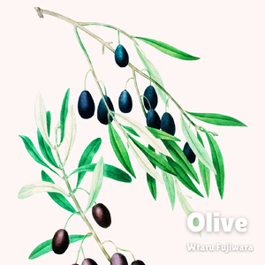 Olive
