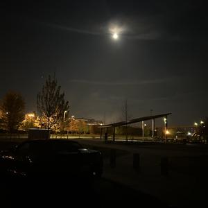 Why Would U Lie (Bonus)