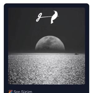 Güvenli liman sandım seni