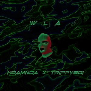 wla (feat. Trippyboi)