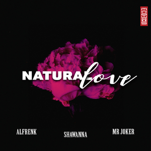 Natural Love (Lino Di Meglio Remix)