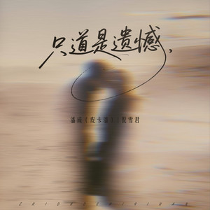 只道是遗憾