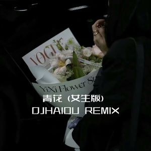青花（女生版DJHAIOU REMIX)