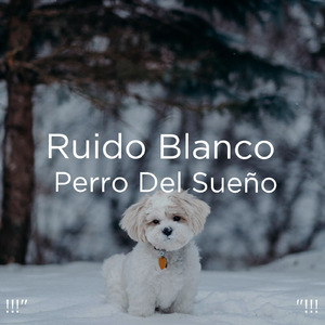 ホワイトノイズスリープ