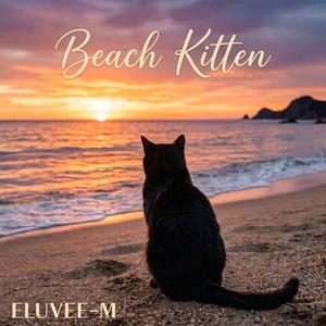 Beach kitten