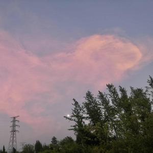 狂想（prod .by NinO）