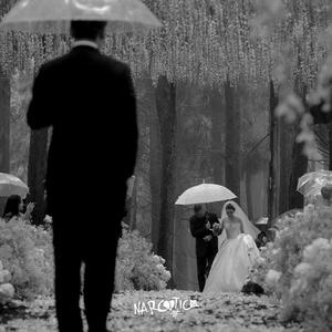 La dejé ir amandola