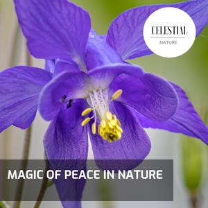 Bunchy Mountain Rocky Wind Steady