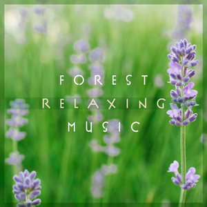 寻找一颗安稳的心