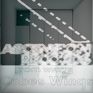 Cubes Wings (Michael Lapersonerie Mix)