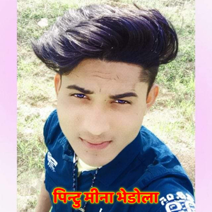 पिन्टु मीना भेडोला