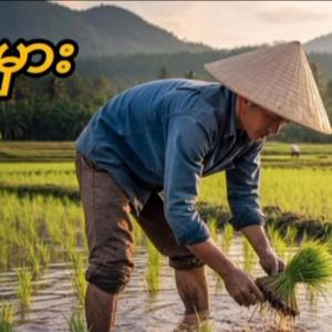 အမှား