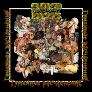 Пронзённый плод