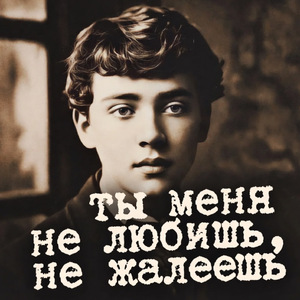 Ты меня не любишь, не жалеешь…