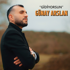 Gidiyorsun