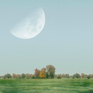 月球上跳舞的兔子 [Marimba]