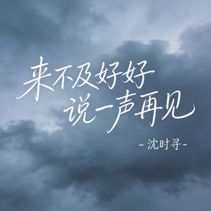 来不及好好说一声再见