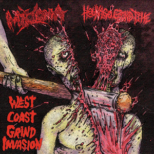 Visceral Leishmaniasis Vortex