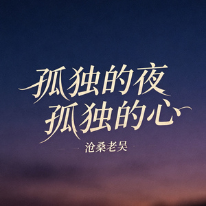 孤独的夜孤独的心