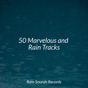 Gentle Brook Melodies